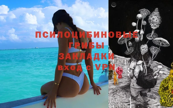 амф Алзамай